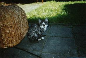 Ah, that was a nice swim