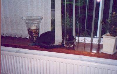 There is a lot to see outside