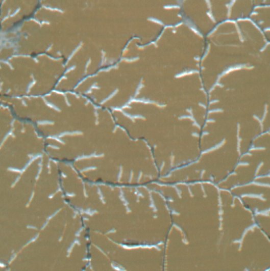 A close-up of the CompuServe-CD